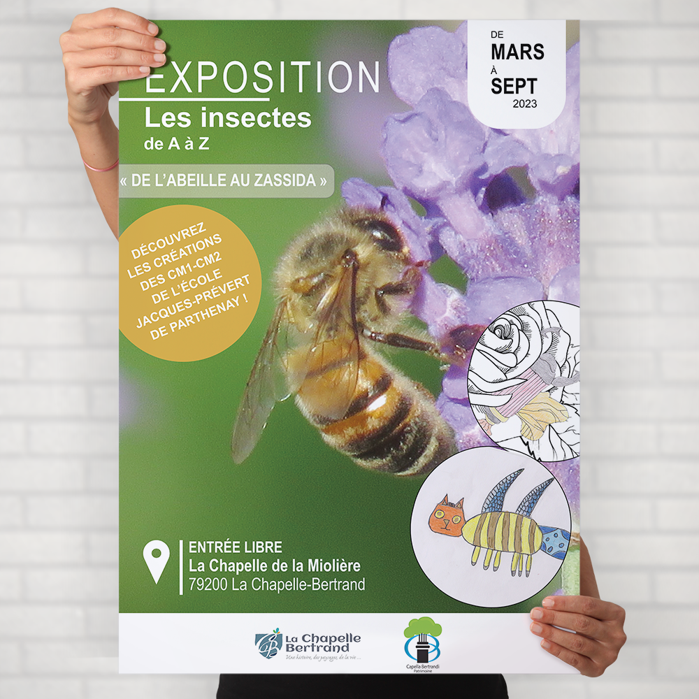 Présentation d'une affiche pour une exposition : "les insectes de A à Z", pour la commune de La Chapelle-Bertrand.